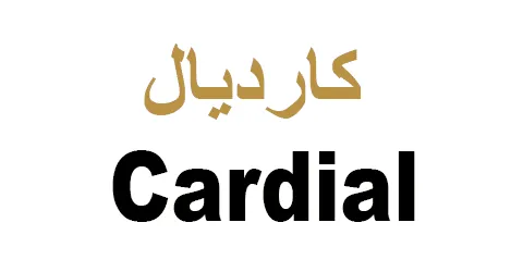كود خصم كارديال 2026 (PF16) المجرب| انسخ رمز الخصم ووفر 20%