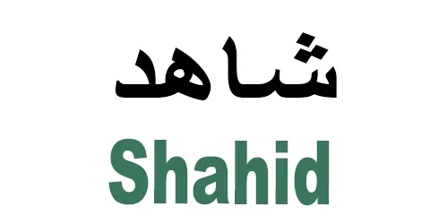 shahid-net